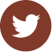 small twitter logo on a transparent background