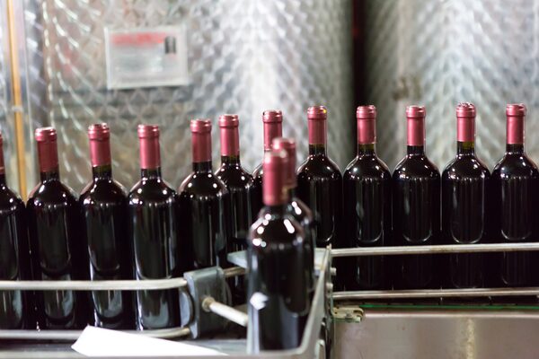 Red wine being bottled in winery